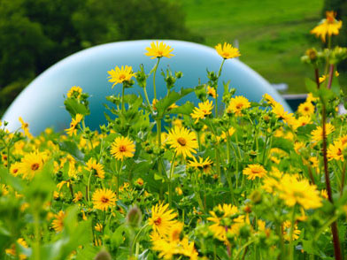 Energieversorger mit Biogasanlage